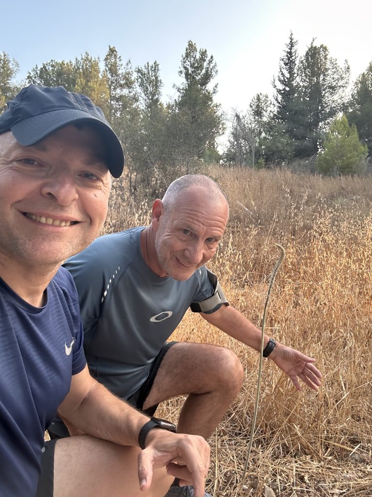 התחדשות וחצבים